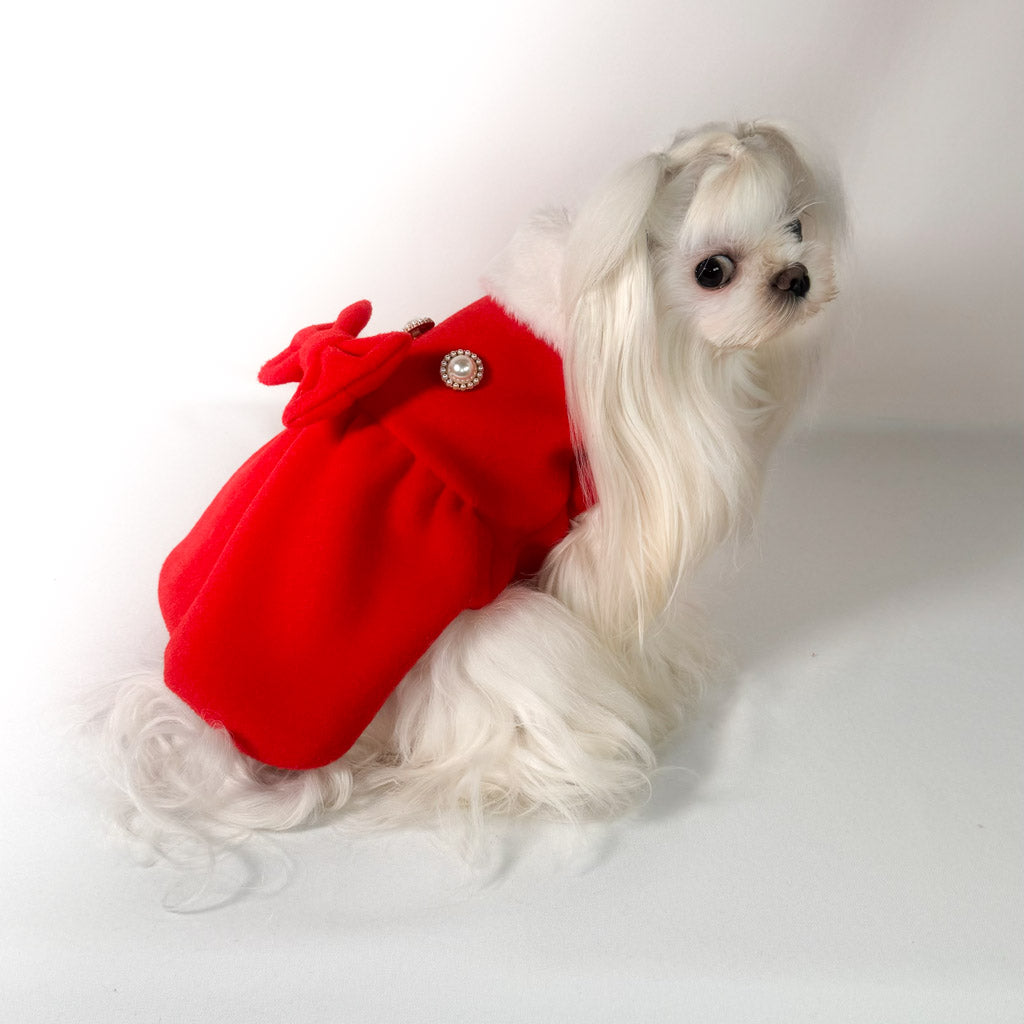 Maltese con il Cappottino Scarlett rosso, vista di profilo