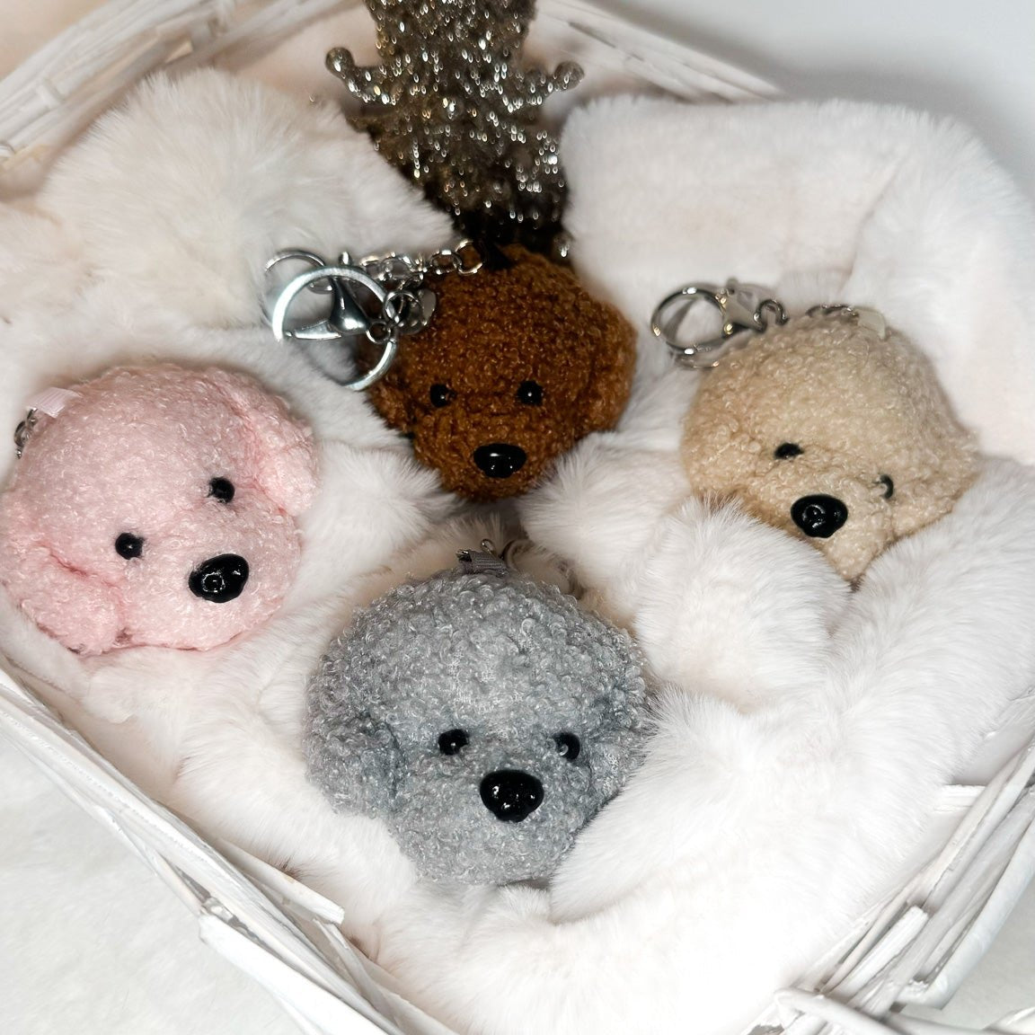 Testine di barboncino in teddy nei colori red, rosa, champagne e grigio