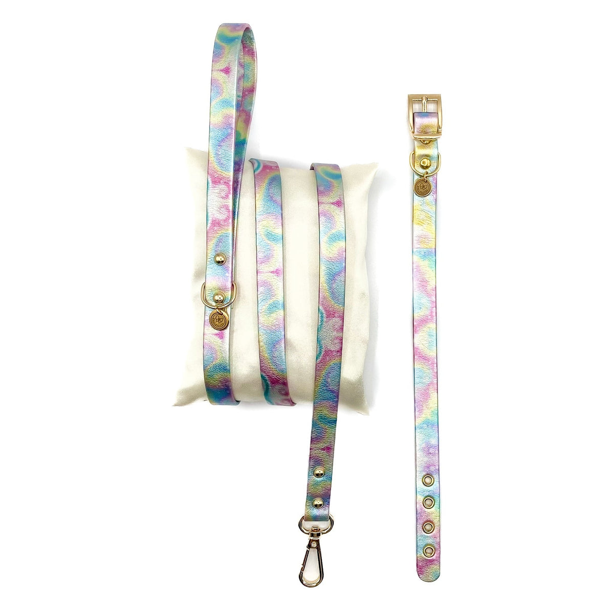 RAINBOW set collare e guinzaglio