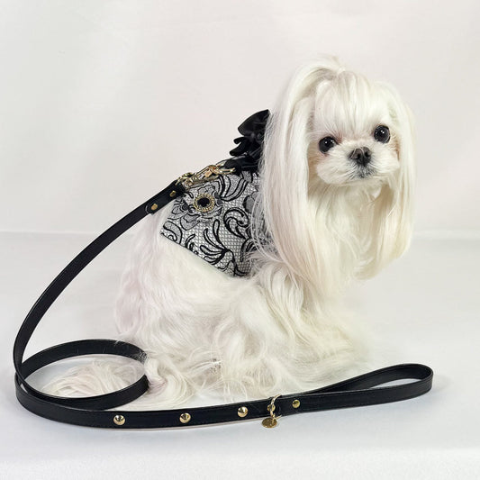 Pettorina Elio smoking couture indossata da cane piccolo maltese con guinzaglio elegante coordinato