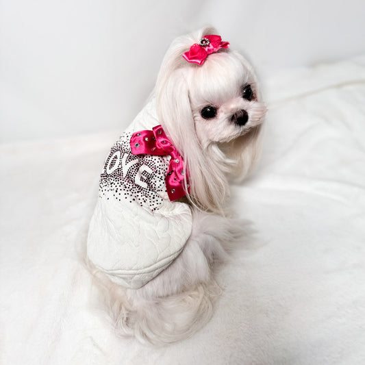 Maltese con la Felpa Narciso panna e fiocco fucsia