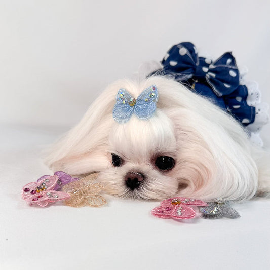Maltese con fermagli a farfalla gioiello BauLoveYou per cani piccoli