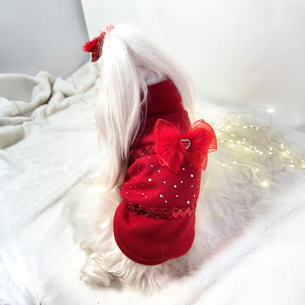 Maltese con il Maglioncino Luce rosso rubino, visto da dietro