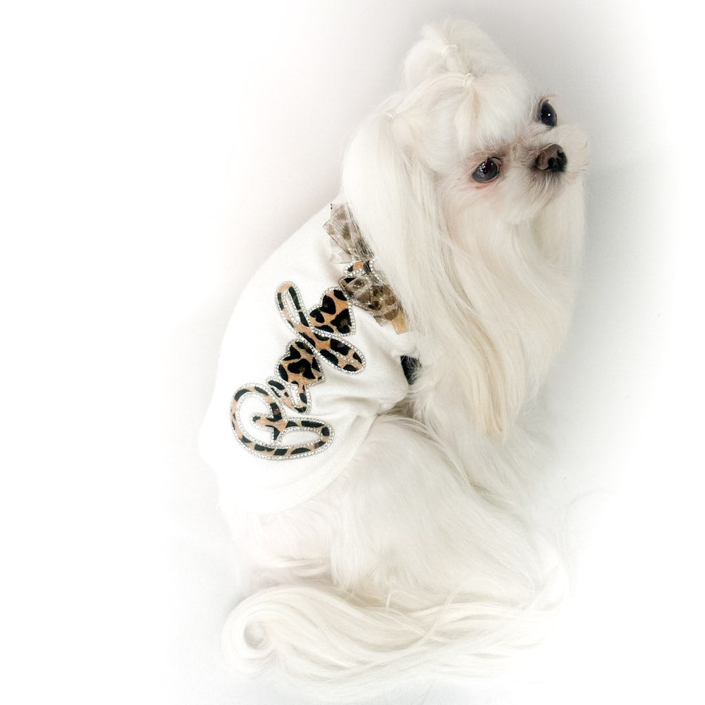Maltese con il Maglioncino Perfect visto di profilo