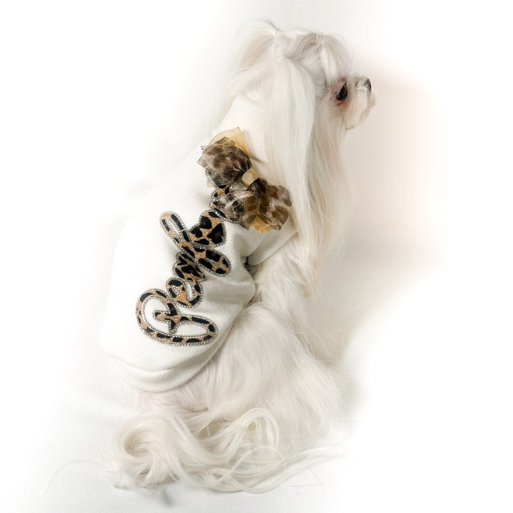 Maltese con il Maglioncino Perfect visto dall'alto