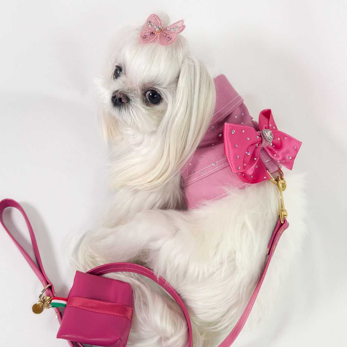 Mini BauJeans Bijoux fuxia indossata da maltese, pettorina in denim per cani piccoli