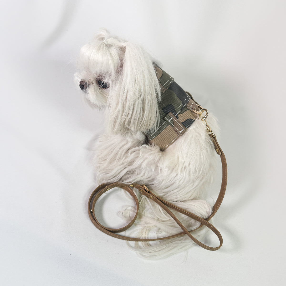 Mini BauJeans Ranger indossata da maltese, pettorina in denim mimetico con guinzaglio in pelle tabacco