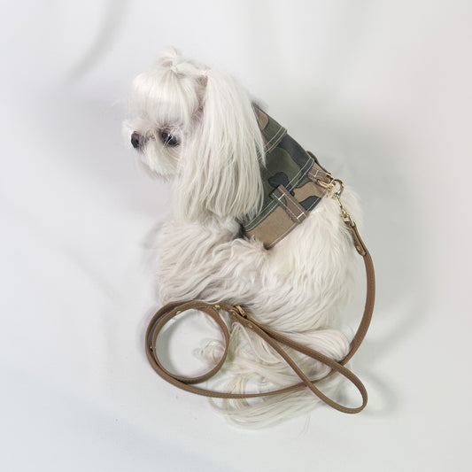 Mini BauJeans Ranger indossata da maltese, pettorina in denim mimetico con guinzaglio in pelle tabacco