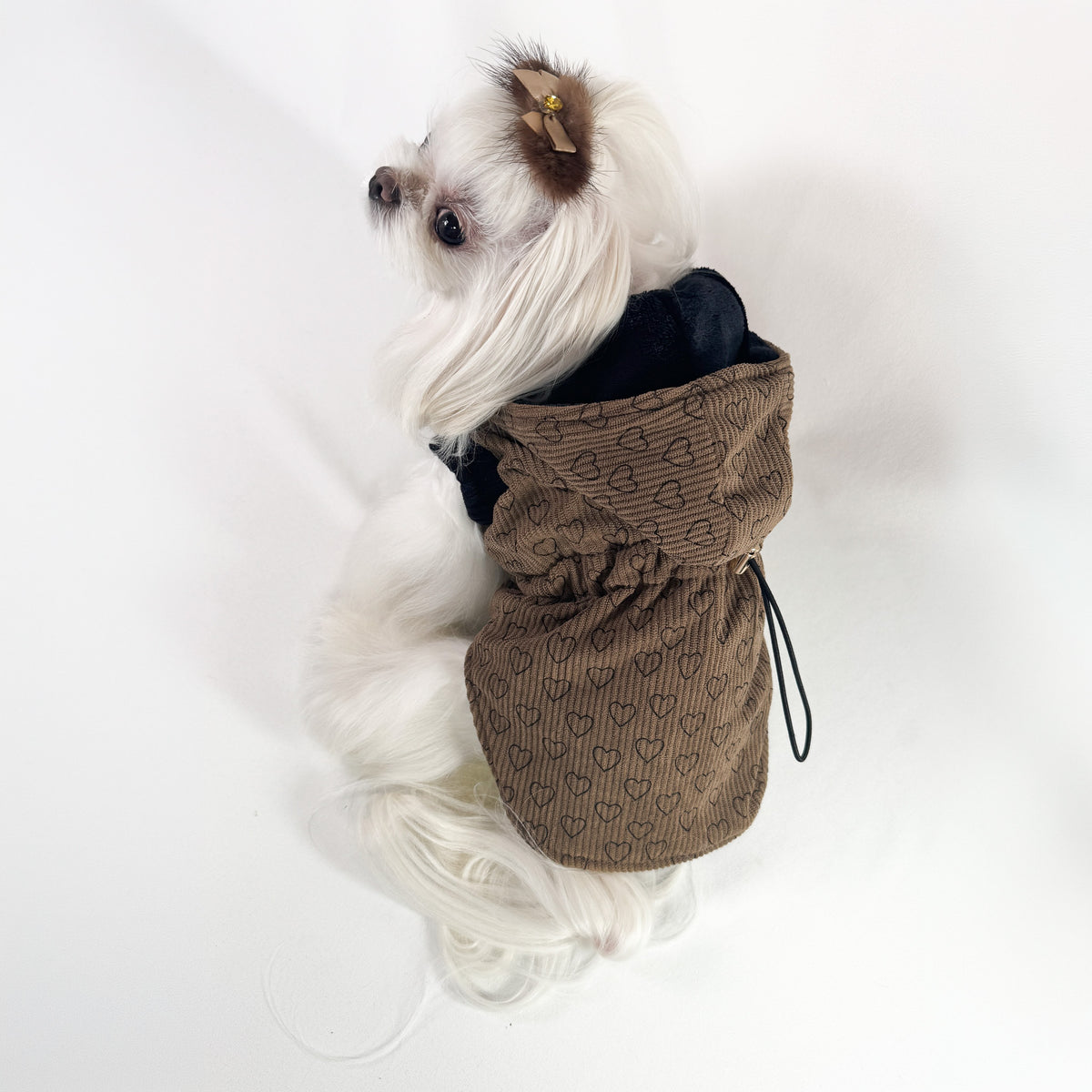 Parka Cuoricini per cani piccoli indossato da un maltese, visto dal dorso con la coulisse elastica in vita