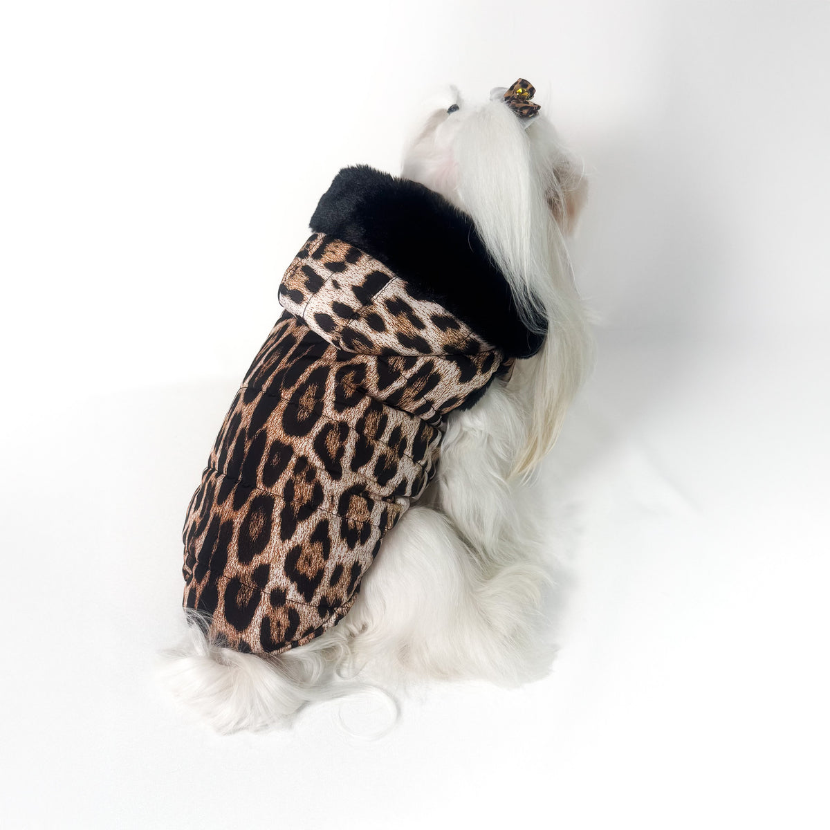 Piumino Leopard indossato da un maltese, visto di lato con cappuccio e bordo in peluche nero