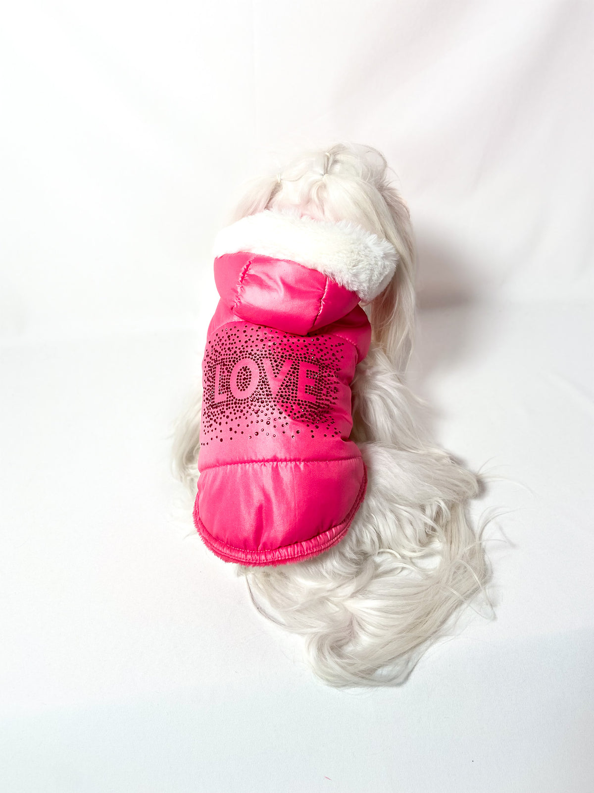 Maltese che indossa il Piumino Love ciliegia con cappuccio bordato in pelouche bianco