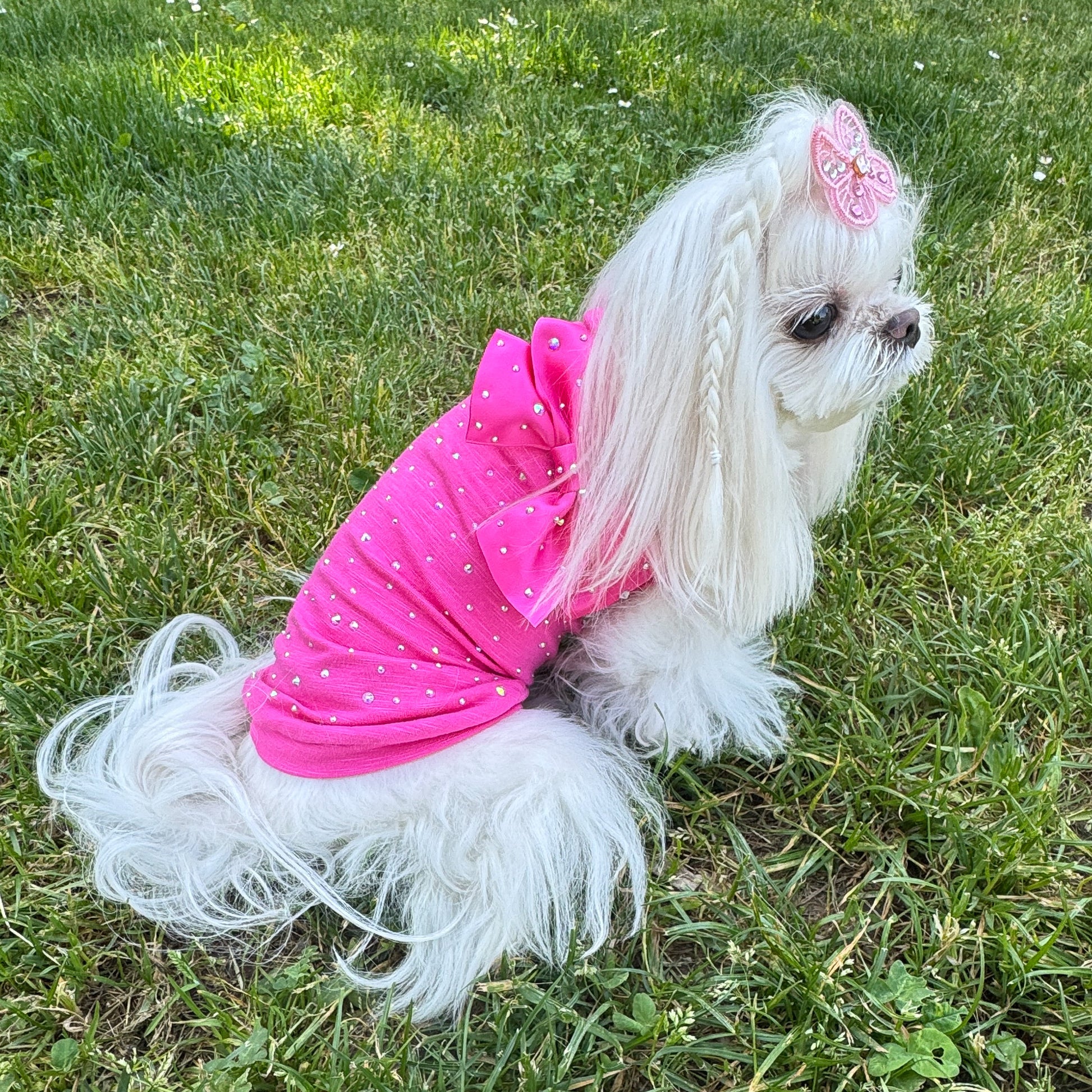 T-shirt Starlight fucsia in misto stretch con cristalli aurora boreale sul retro per cani piccoli