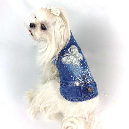 Maltese bianco di profilo indossa il BauJeans Butterfly, gilet in denim con farfalla di strass