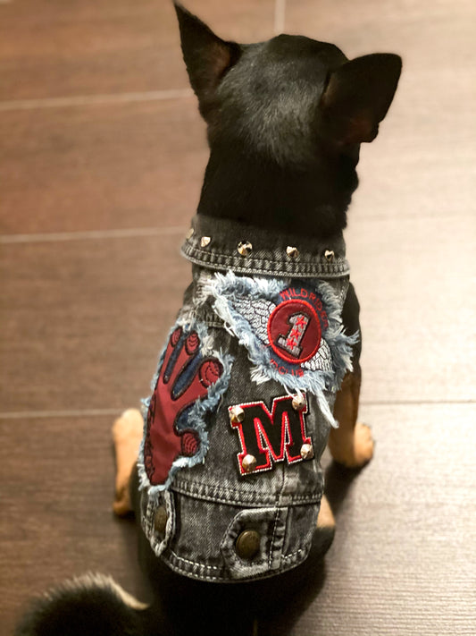 Chihuahua nero visto da dietro indossa il BauJeans Cervantes, gilet in denim grigio con patch