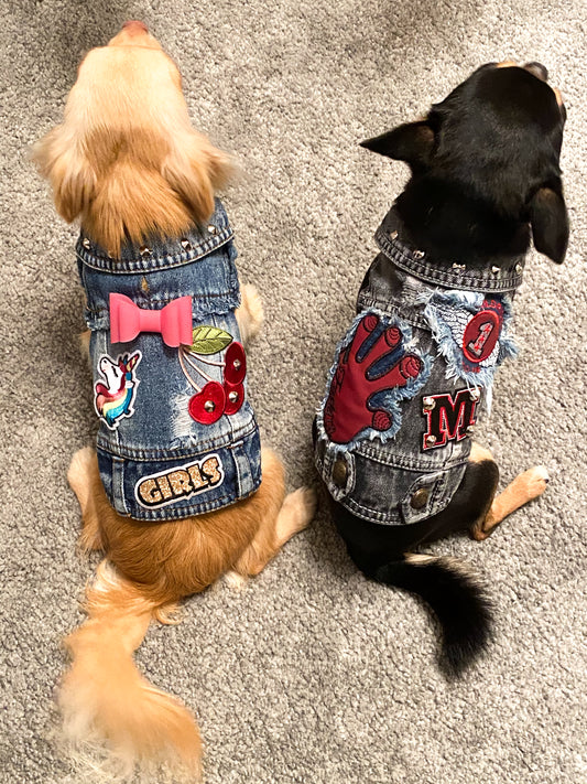 Due cani piccoli visti da dietro indossano i BauJeans Diadem e Cervantes, gilet in denim con patch