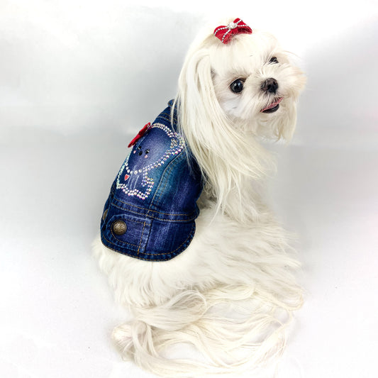 Maltese bianco con fiocco rosso visto di tre quarti indossa il BauJeans My Love con orsetto di cristalli