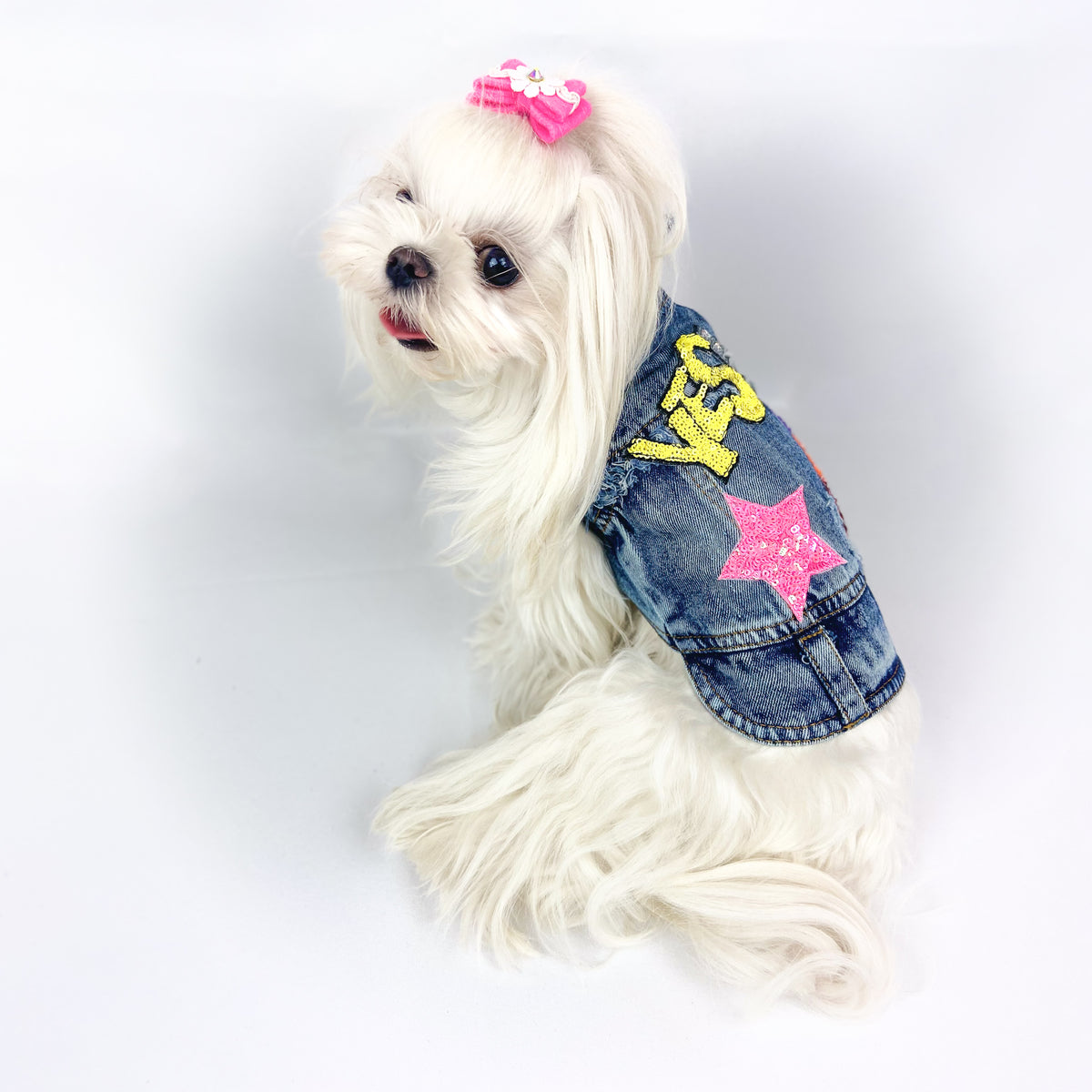 Maltese bianco con fiocco rosa di tre quarti indossa il BauJeans Yes con patch in paillettes