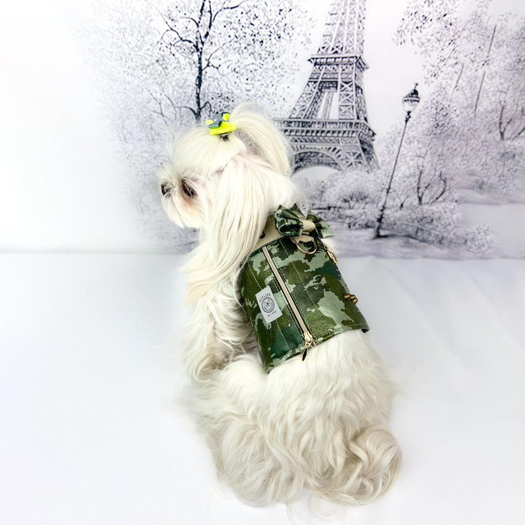 Maltese con il Baukiodino Camo visto di profilo