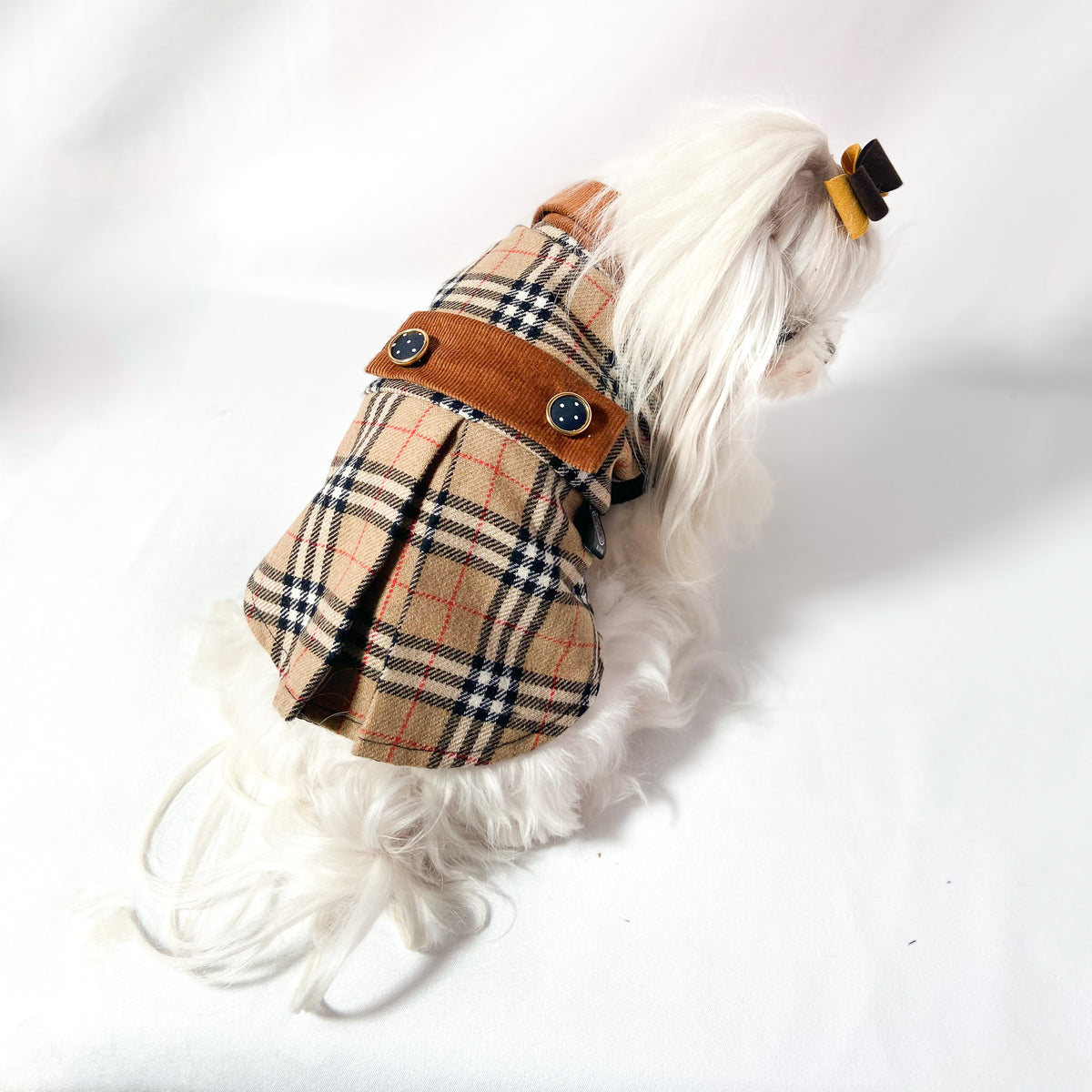 Maltese con fiocchetto con il Cappottino Britannia, dettaglio del colletto e della martingala