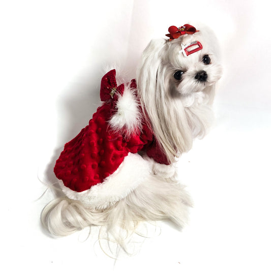 Maltese con la Felpa Magic rossa di Natale