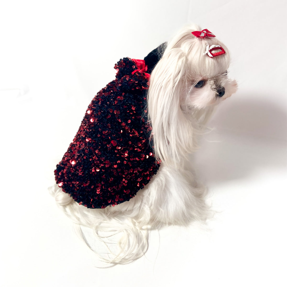 Maltese con il Maglioncino Althena in paillettes rosse e nere