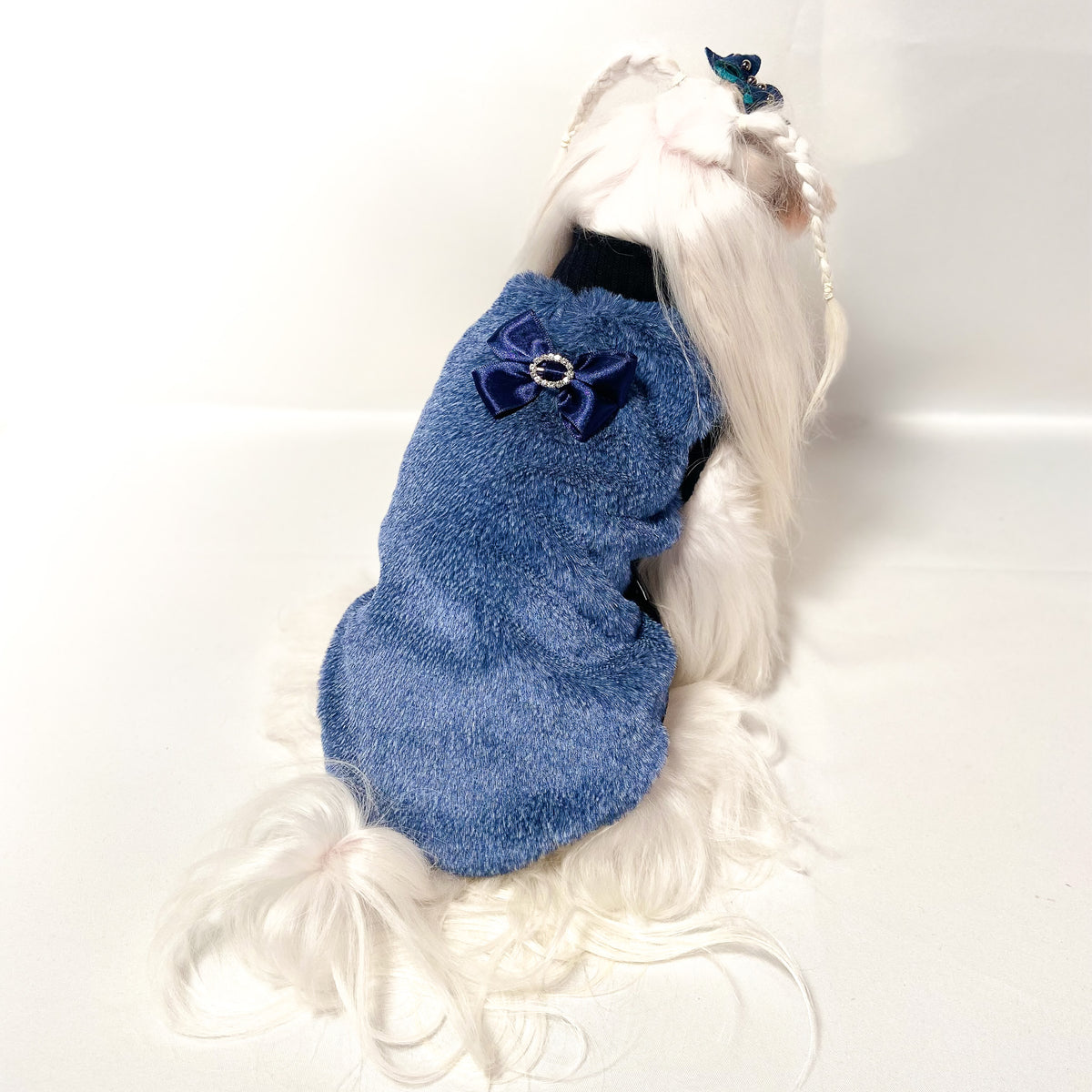 Maltese con il Maglioncino Jasmine blu