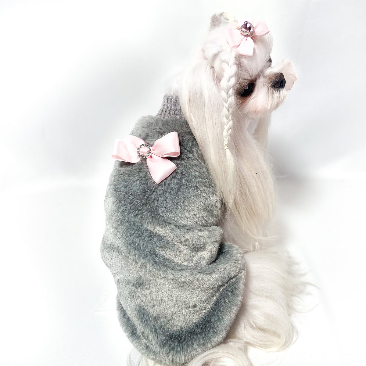 Maltese con il Maglioncino Jasmine grigio