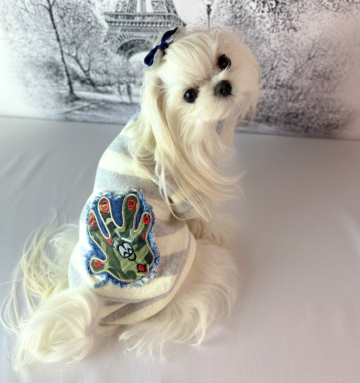 Maltese con il Maglioncino OKAB a righe e la toppa in jeans