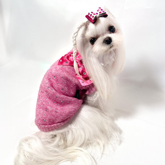 Maltese con il Maglioncino Stellar rosa