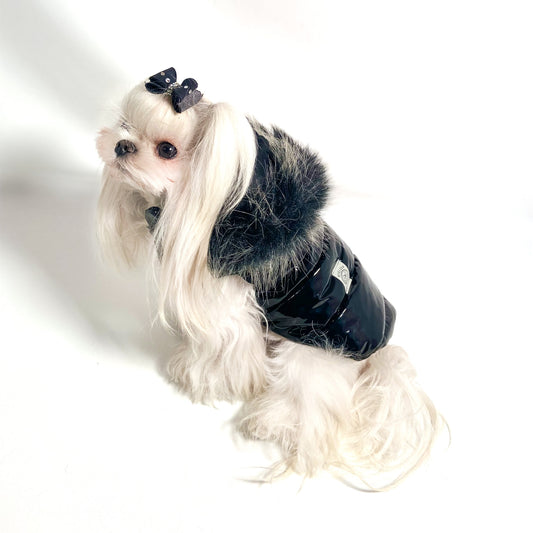 Piumino Plume nero lucido indossato da un maltese, con cappuccio e bordo in peluche sfumato