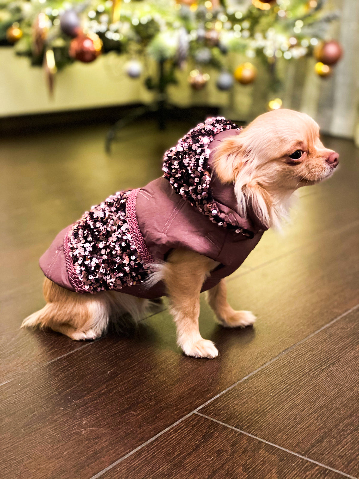 Piccolo cane indossa il Piumino Sestante malva rosato con paillettes